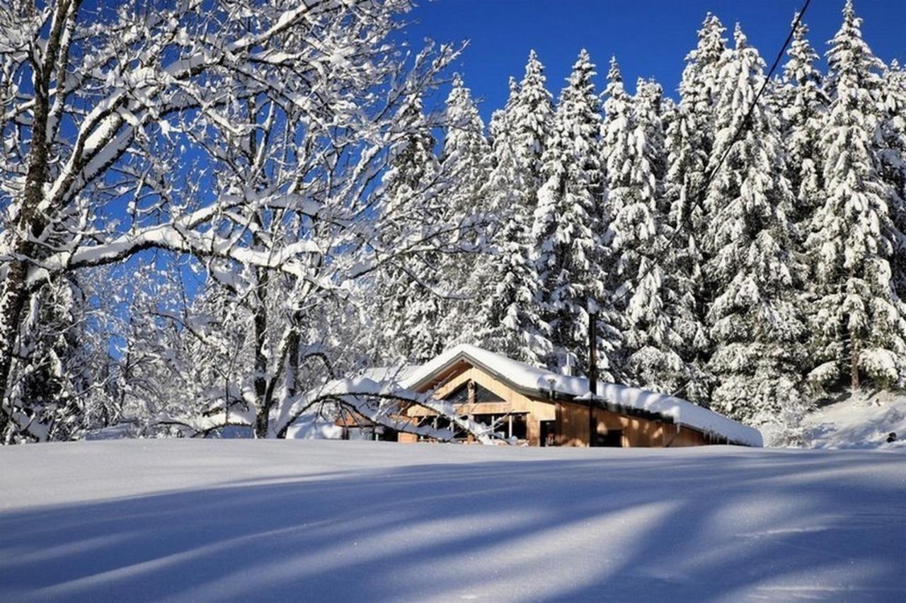 Chalet Le Petit Jura Vila Morbier Exterior foto